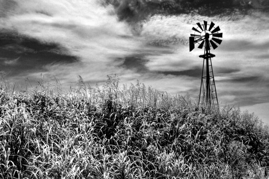 Timeless Monochrome Art: Simplicity That Speaks Volumes