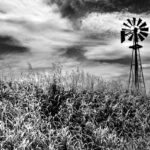 Timeless Monochrome Art: Simplicity That Speaks Volumes